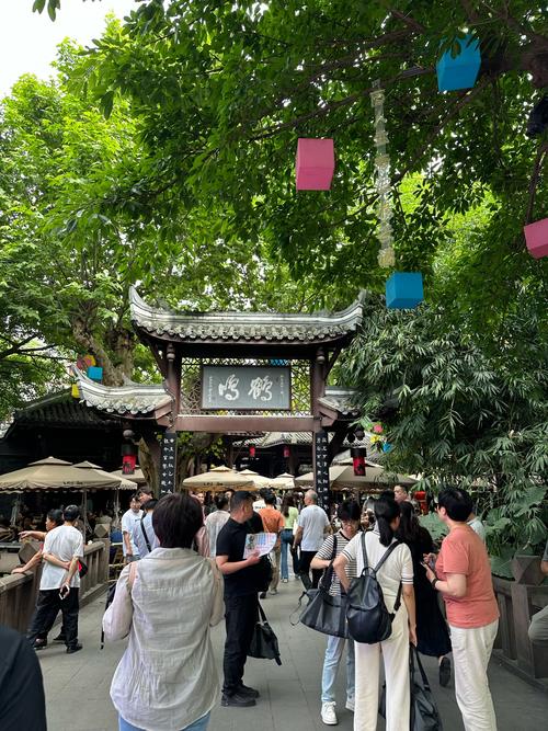 成都品茶怎么样_2021成都品茶攻略_成都品茶攻略