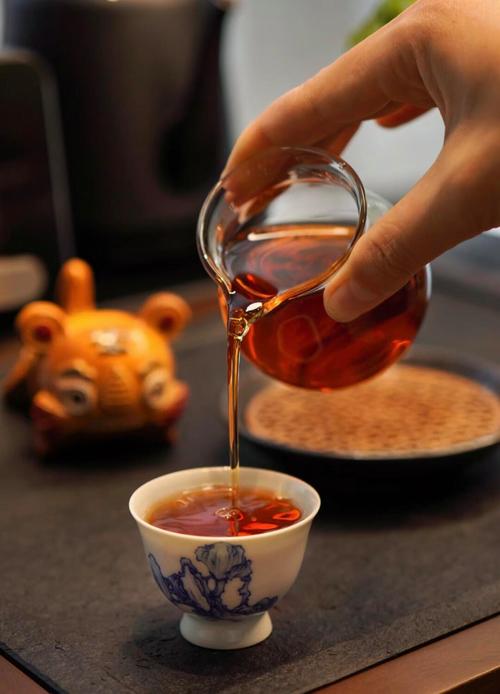 上海品茶网龙风_上海品茶网官网_上海品茶网推荐