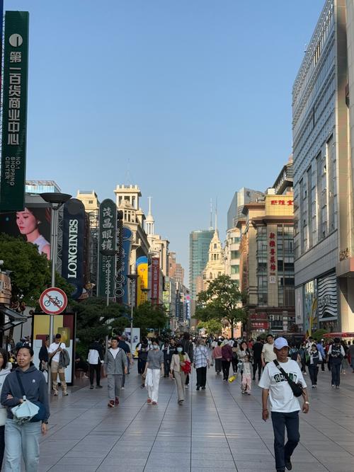探秘沪城独特夜：小王南京路步行街的别样经历与启发