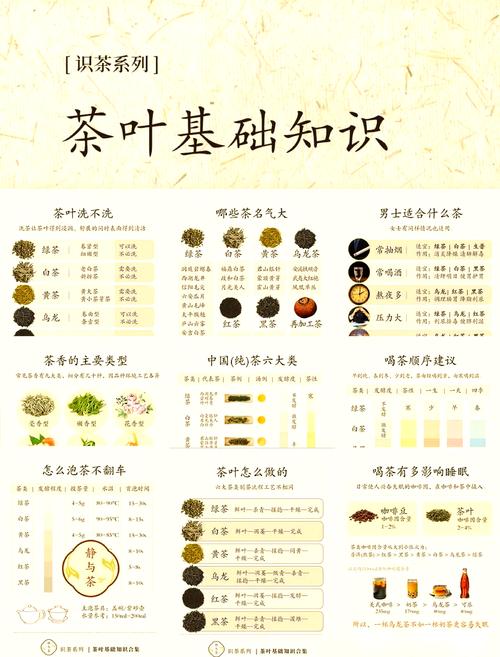 上海品茶网：挖掘茶叶知识、分享品茶体验的优质指南