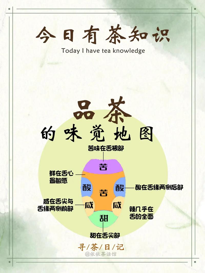 上海品茶网指南_上海品茶是什么意思_上海品茶app