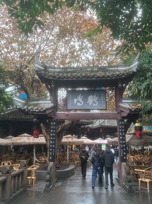 成都品茶体验_成都品茶qt_成都品茶体验馆在哪里